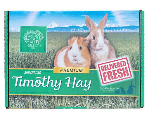 Small Pet Select Second Cut Timothy Hay