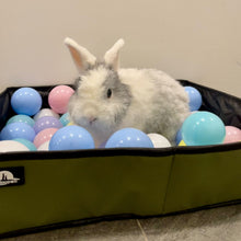 Load image into Gallery viewer, The Moon Bunny Foraging Box