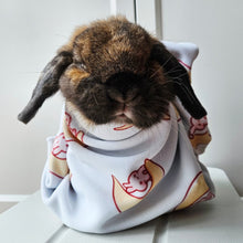 Load image into Gallery viewer, Cuddles and Crafts Event - 11 OCTOBER (BUNNY HANDLING)