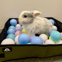 Load image into Gallery viewer, The Moon Bunny Foraging Box