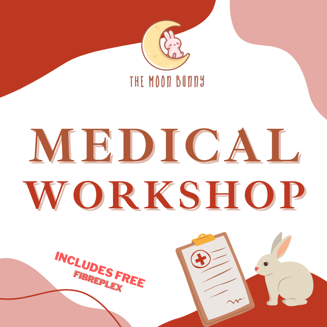 [PRIVATE] Rabbit Medical Workshop