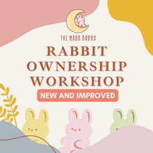 Load image into Gallery viewer, Rabbit Ownership Workshop
