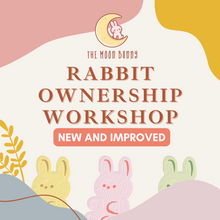Load image into Gallery viewer, Rabbit Ownership Workshop