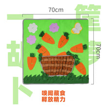 Load image into Gallery viewer, Moon Bunny Explore Fun Mat - 5 designs