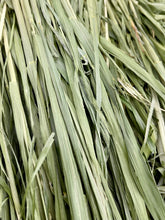 Load image into Gallery viewer, MoonBunny Oat Hay