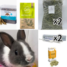 Load image into Gallery viewer, [DONATION] Rabbit Supplies to Bunny Binkies Club Permanent Residents (Asher &amp; Lumi)
