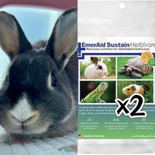 Load image into Gallery viewer, [DONATION] Rabbit Supplies to Bunny Binkies Club Permanent Residents (Asher &amp; Lumi)
