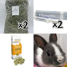Load image into Gallery viewer, [DONATION] Rabbit Supplies to Bunny Binkies Club Permanent Residents (Asher &amp; Lumi)
