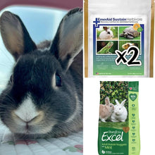 Load image into Gallery viewer, [DONATION] Rabbit Supplies to Bunny Binkies Club Permanent Residents (Asher &amp; Lumi)

