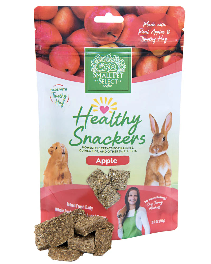 Small Pet Select Healthy Snacker Apple