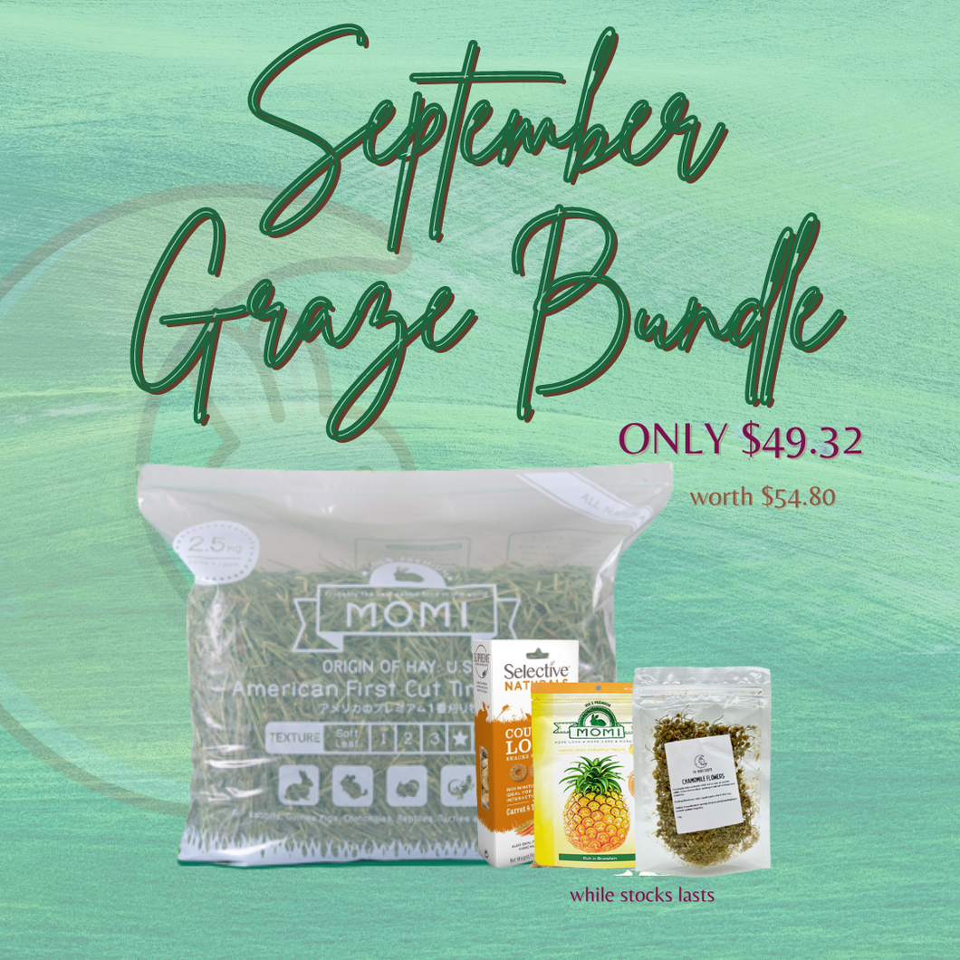Exclusive September Graze Bundle