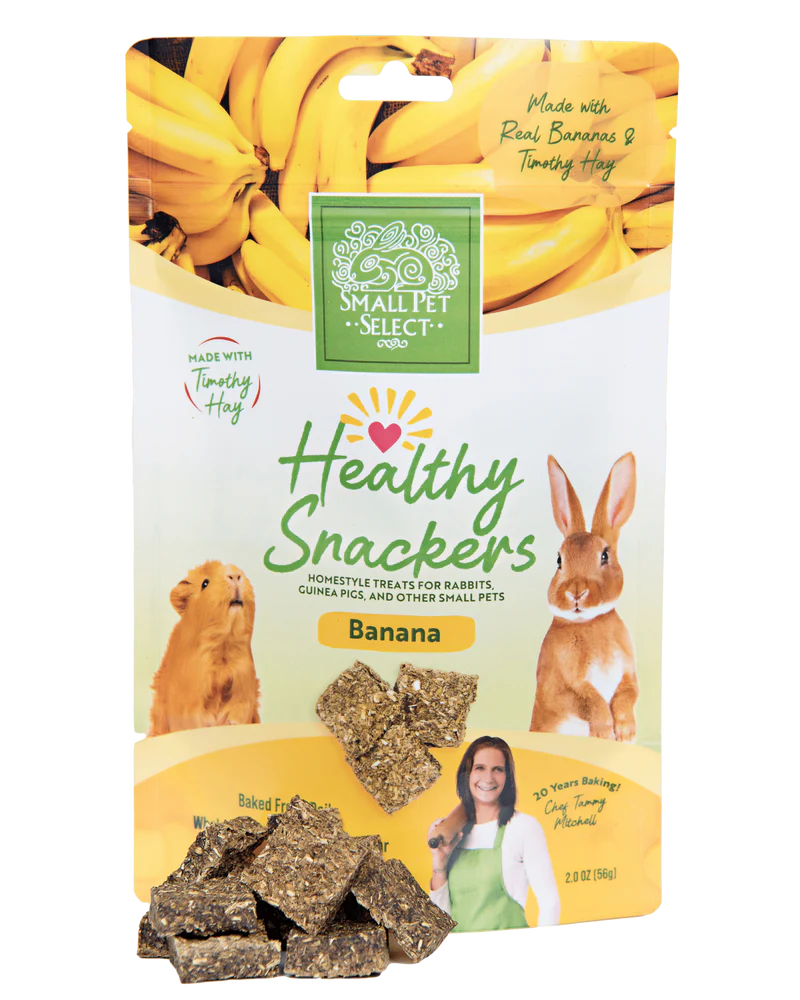 Small Pet Select Healthy Snacker Mini Banana