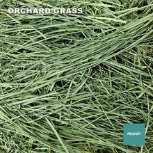 Load image into Gallery viewer, Freshay Orchard Grass - 6lbs
