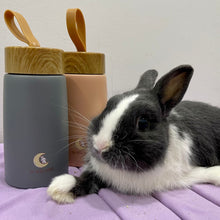 Load image into Gallery viewer, Moon Bunny Thermal Flask Water Bottle
