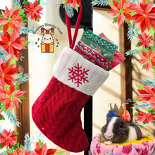 Load image into Gallery viewer, [XMAS CHARITY] Christmas Stocking Gift Set
