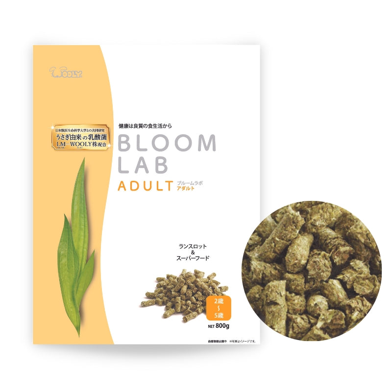Wooly Bloom LAB Adult (2 to 5 years old) - 800g