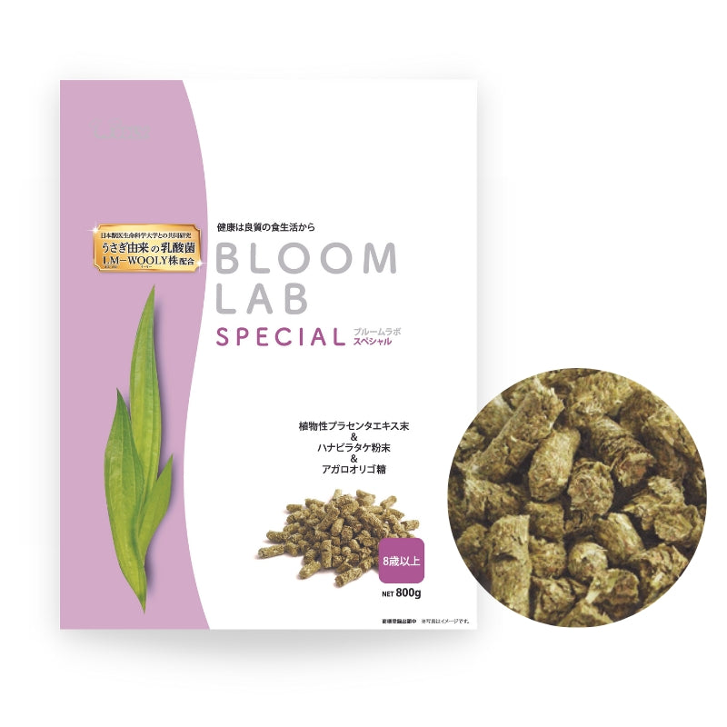 Wooly Bloom LAB Special (8 years old and above) - 800g
