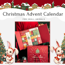 Load image into Gallery viewer, The Moon Bunny Christmas Advent Calendar
