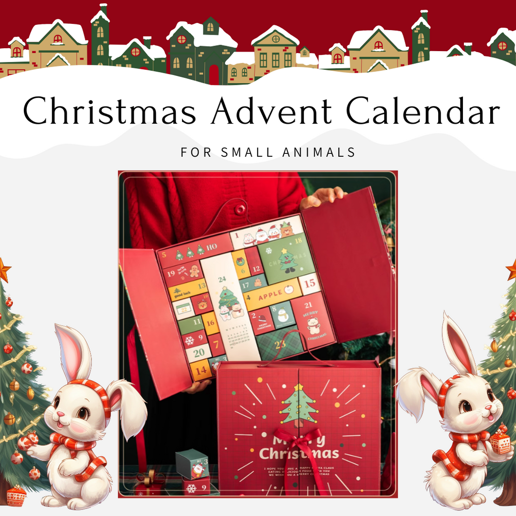 The Moon Bunny Christmas Advent Calendar