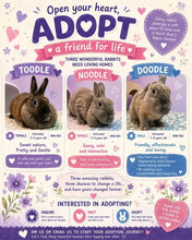 Load image into Gallery viewer, [DONATION] Supplies to BBC 3 Mini Rex
