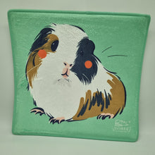 Load image into Gallery viewer, MoonBunny Guinea Pig Comfy Mat - 5 Designs

