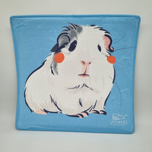 Load image into Gallery viewer, MoonBunny Guinea Pig Comfy Mat - 5 Designs
