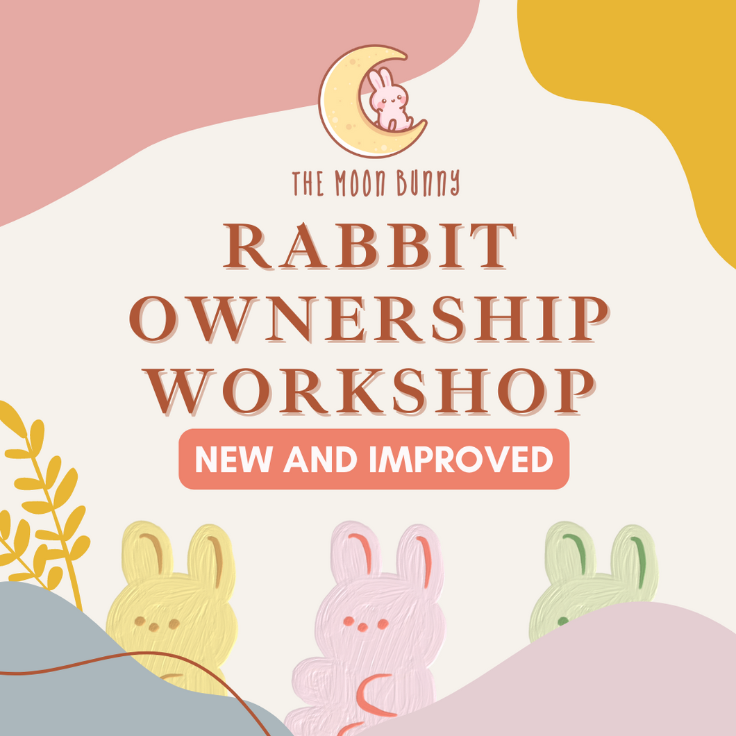 Rabbit Ownership Workshop