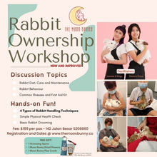 Load image into Gallery viewer, Rabbit Ownership Workshop
