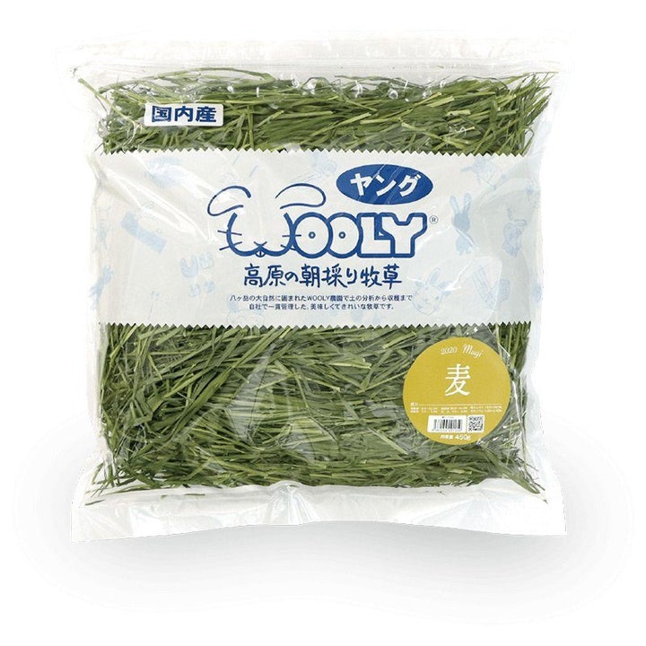 Wool Hay Wooly Barley Hay (450g) – The Moon Bunny